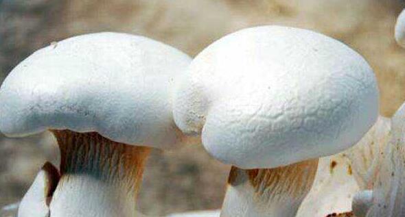 QQ截圖20211011095354.jpg QQ截圖20211011095354.jpg